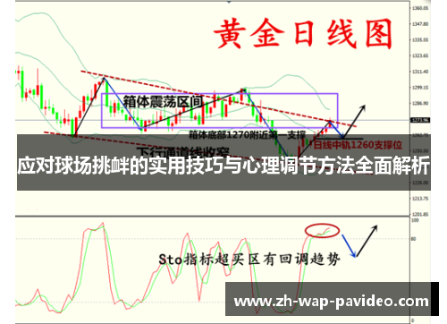 应对球场挑衅的实用技巧与心理调节方法全面解析