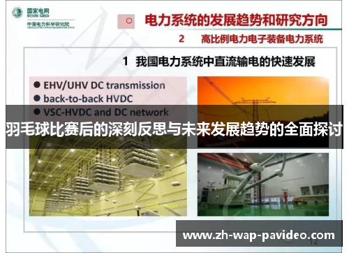 羽毛球比赛后的深刻反思与未来发展趋势的全面探讨