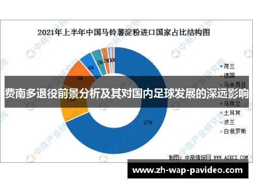 费南多退役前景分析及其对国内足球发展的深远影响