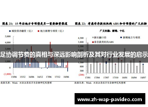 足协调节费的真相与深远影响剖析及其对行业发展的启示 足协调节费的真相与深远影响剖析及其对行业发展的启示