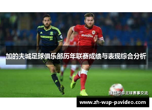 加的夫城足球俱乐部历年联赛成绩与表现综合分析