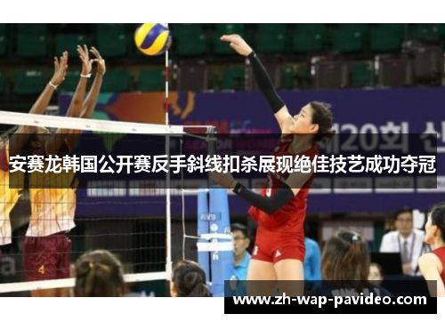 安赛龙韩国公开赛反手斜线扣杀展现绝佳技艺成功夺冠