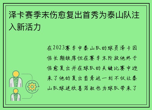 泽卡赛季末伤愈复出首秀为泰山队注入新活力 泽卡赛季末伤愈复出首秀为泰山队注入新活力